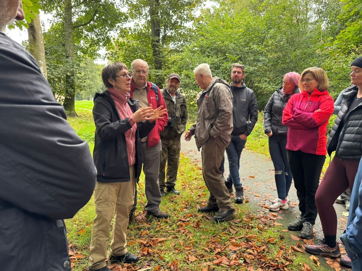 Outdoor lecture